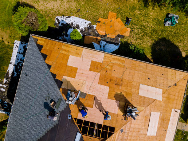 Quick and Trustworthy Emergency Roof Repair Services in Escondido, CA